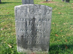 Alexander Angle 
