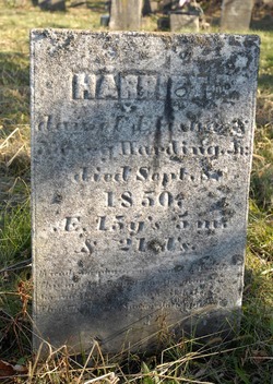 Harriet Harding 