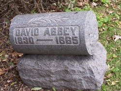 David Abbey 
