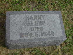 Harry Alsup 