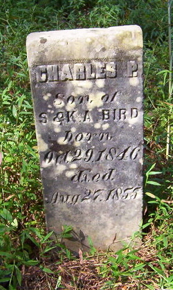 Charles P Bird 