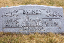 Leo Elgin Banner 