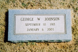 George William Johnson 