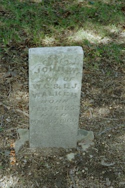 John W Walker 