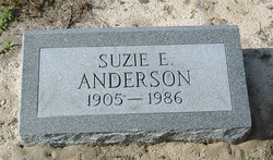 Suzie E. Anderson 