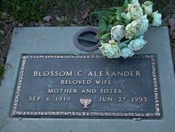 Blossom Claire <I>Karton</I> Alexander 