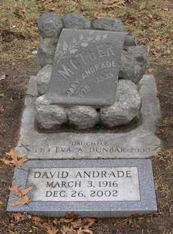David Andrade 