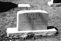 Sarah Angeline <I>Davis</I> Davis 