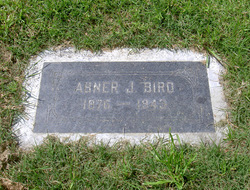 Abner Jenkins Bird 