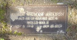 Elmer William Amadon 