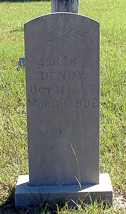 Sarah A Dendy 
