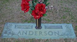 Walter Raleigh Anderson Sr.