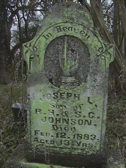 Joseph L Johnson 