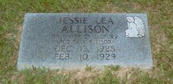 Jessie Lea Allison 