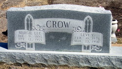 Levi Young Crow 