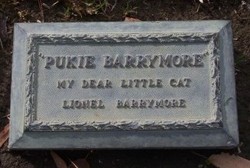 Pukie Barrymore 