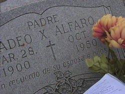 Tadeo Alfaro 