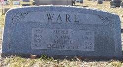 Alfred C Ware 