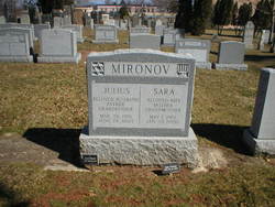 Sara Mironov 