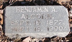 Benjamin A Alcorn 