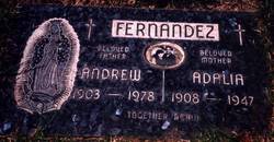 Andrew Fernandez 