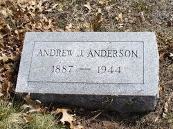 Andrew J Anderson 