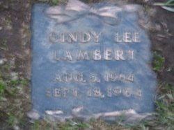 Cindy Lee Lambert 