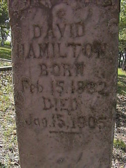 David Hamilton 
