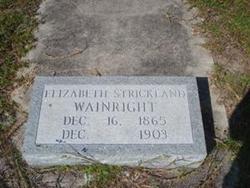 Elizabeth “Lizzie” <I>Strickland</I> Wainright 