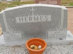 Steve L. Hermes 
