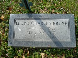 Lloyd Charles Brush 