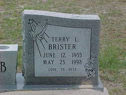 Terry L Brister 