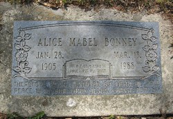Alice Mabel Bonney 
