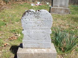 Jewel Caudle 