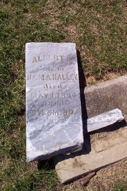 Albert M Halley 