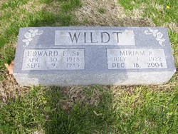 Edward Ferdinand Wildt 