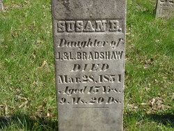 Susan B Bradshaw 