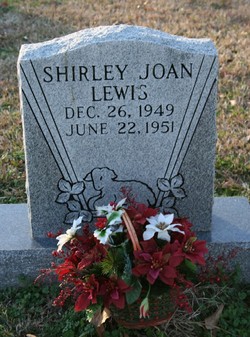 Shirley Joan Lewis 