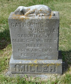 Catherine Virginia Miller 