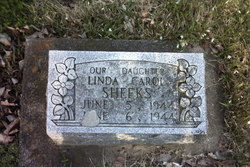Linda Carol Sheeks 