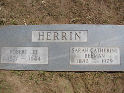 Sarah Catherine <I>Beeman</I> Herrin 