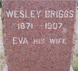 Eva Eugelia <I>Griner</I> Briggs 