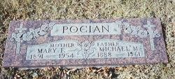 Michael M Pocian 