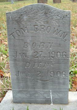 Tom Brown 