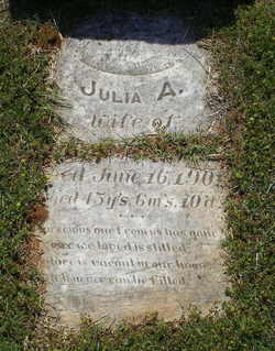 Julia Ann <I>Wallace</I> Dulin 