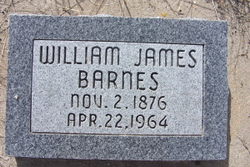 William James Barnes 