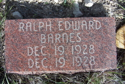 Ralph Edward Barnes 