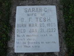 Sarah Catherine <I>Hege</I> Tesh 