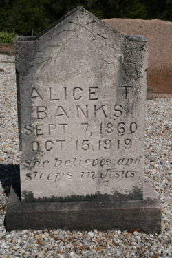 Alice Teresa <I>Frazier</I> Banks 