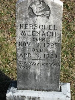 Herschel Meenach 
